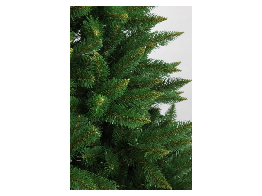 Weihnachtsbaum Kaukasus-Fichte 220cm Premium